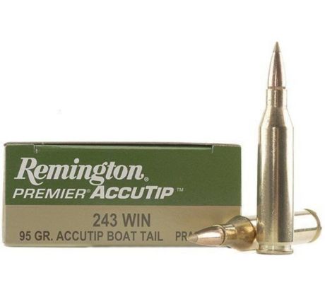 .243Win. Remington Premier 6,16g/95gr - AccuTip BT